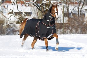 Winterdecken Pferd