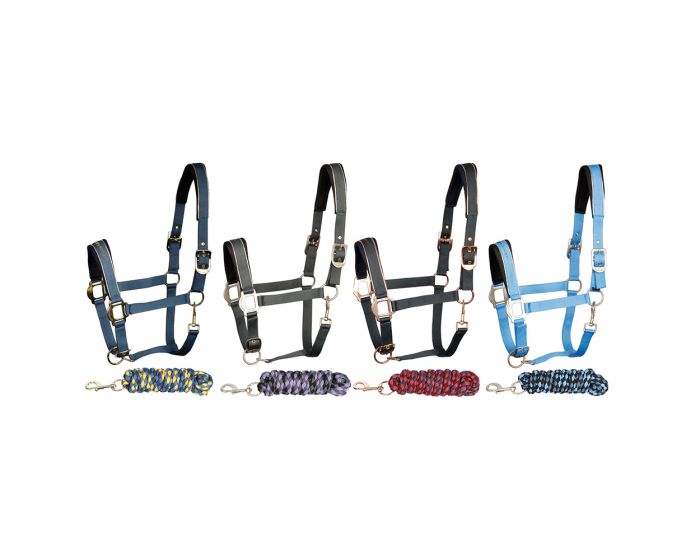 Harry's Horse Halfter set Metallic 19 main product photo