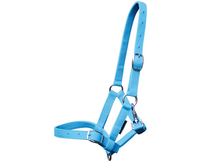 Harry's Horse Fohlenhalfterpferd main product photo