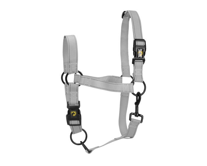 Excellent Pferde-Premium-Halfter main product photo