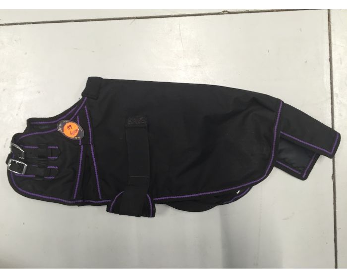 Foal Decke with Belly flap 60cm main product photo