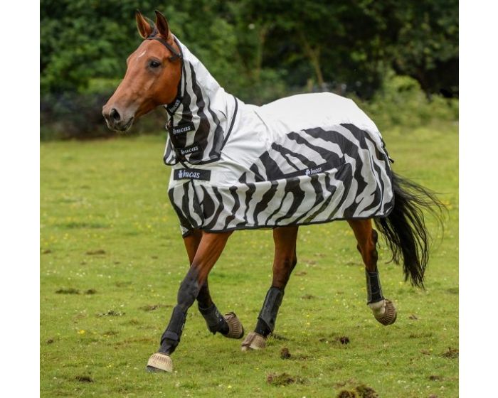 Bucas Buzz-off Regen Zebra main product photo