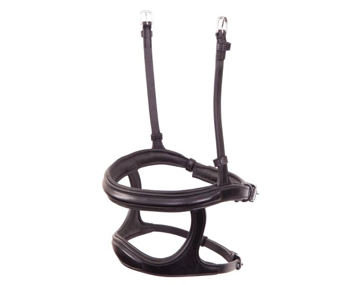 BR Nasenband doppelt kombiniert main product photo