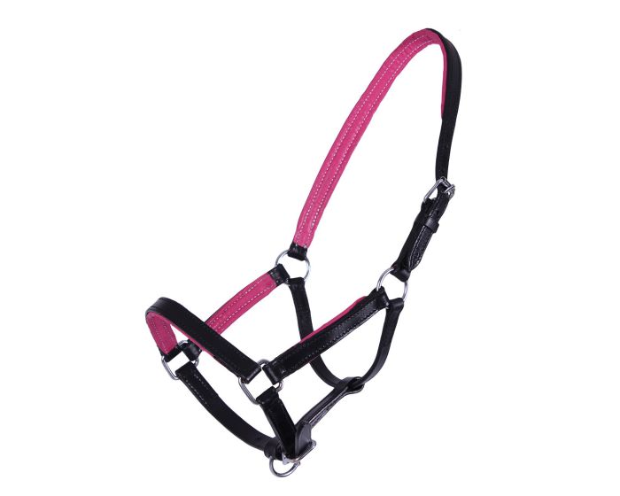 QHP Halfter Fohlen Leder Spirit main product photo