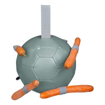 Waldhausen Karottenball