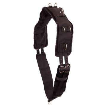 Premiere Lunging Tab