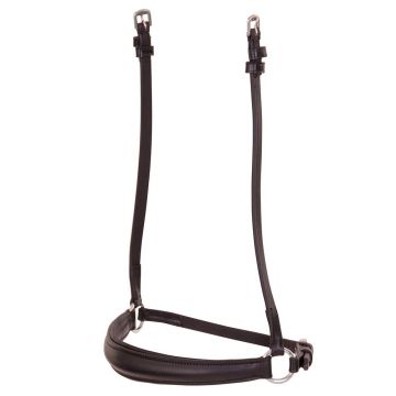 Premiere Nasenband trainieren Cob Schwarz