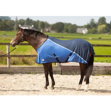 Harry's Horse Mesh-Pro-Decke