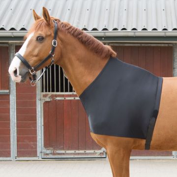 Harry's Horse Vorderzeugschutz Lycra