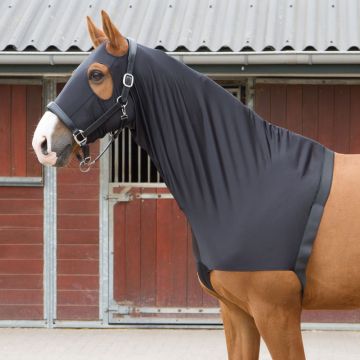 Harry's Horse Vorderzeugschutz / Kapuze Lycra XL Schwarz