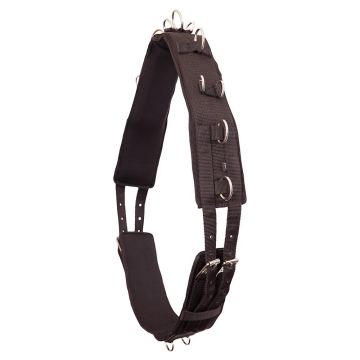 Premiere Lunging Tab