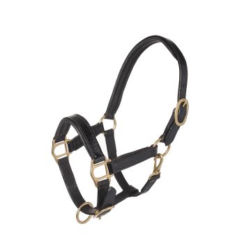MHS Lederhalfter „Kroko“ Pony Schwarz / Gold