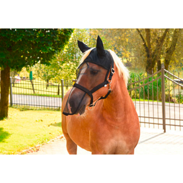 Excellent Fliegenhalfter/Maske Pony Schwarz