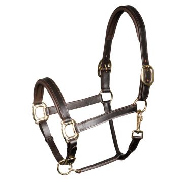 Harry's Horse Halfter Leder, gepolstert