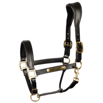 Harry's Horse Halfter Leder Anatomic