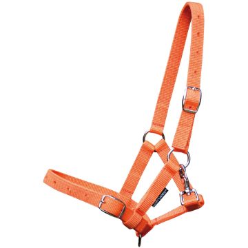 Harry's Horse Fohlenhalfterpferd Full Veulen Orange