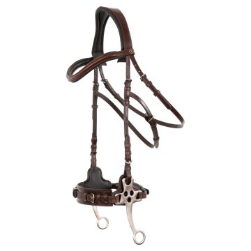 BR Bridle Lydney Hackamore Scheren 152mm Full Oak / Zilver