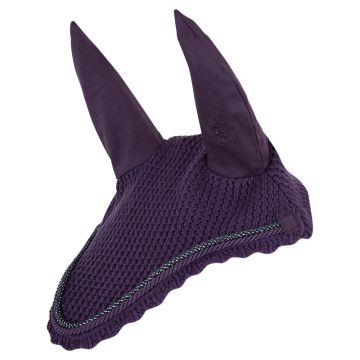 BR FliegenhaubeEvent Full Violett