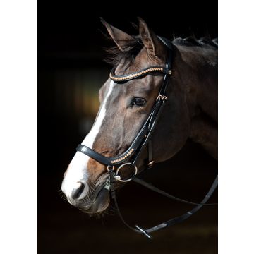 Harry's Horse Zaum Rosegold anatomisch