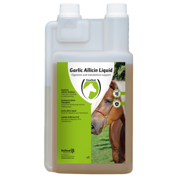 Excellent Knoblauch Allicin Liquid EU (Knoblauch flüssig)