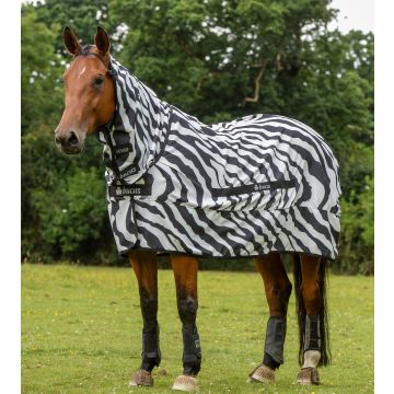 Bucas sweet-itch Zebra