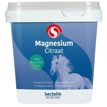 Sectolin Magnesiumcitrat