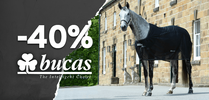 40% Rabatt!